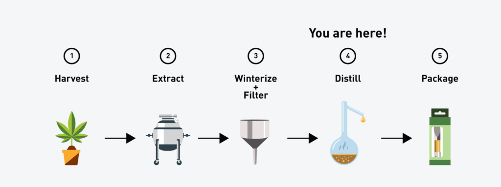 cannabis distillation time line
